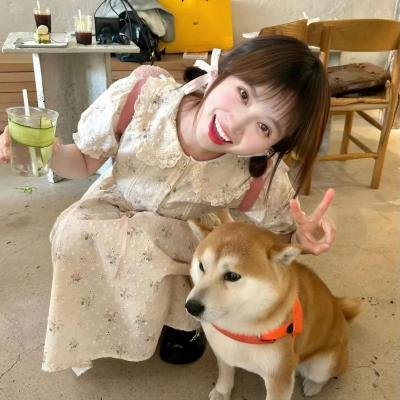 爱寓春光 海报